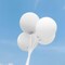 White Balloons 100 Pack 12 Inch White Latex Party Balloons with 2 Rolls of Ribbon Pastel White Helium Balloons for Wedding Birthday Party Baby Shower Engagement Anniversary Party Decorations